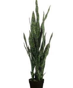 Sanseveria Black Coral - Kunstplant - 97cm