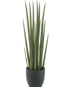 Sansevieria Cylindrica - Kunstplant - 70cm