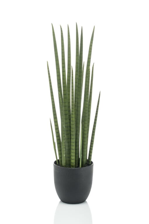 Sansevieria Cylindrica - Kunstplant - 70cm