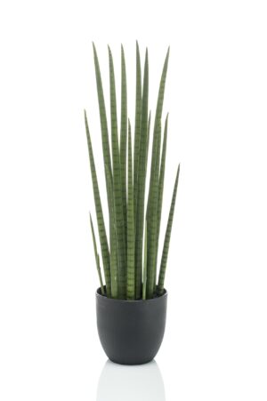 Sansevieria Cylindrica - Kunstplant - 70cm