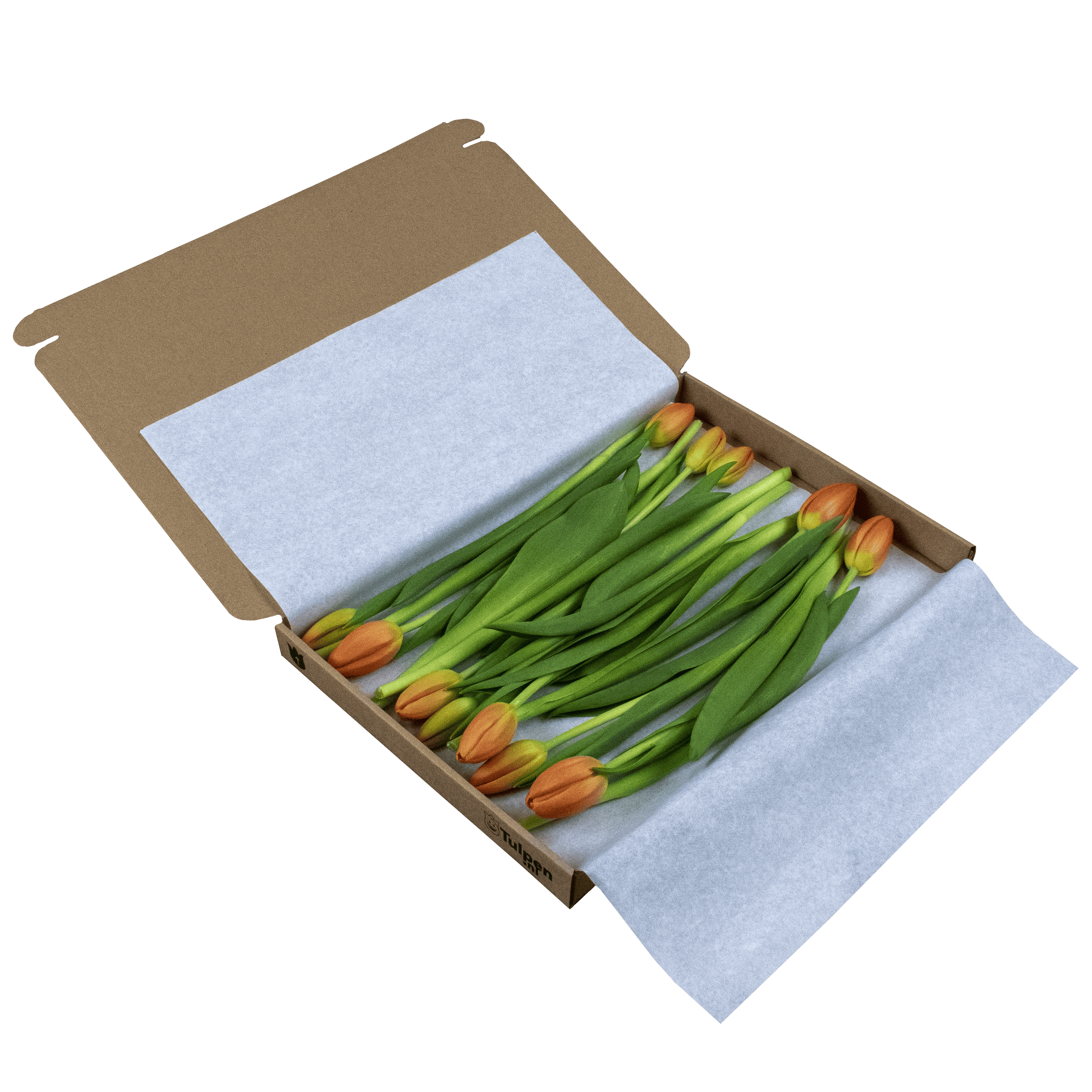 Oranje Brievenbus Tulpen 10 stuks