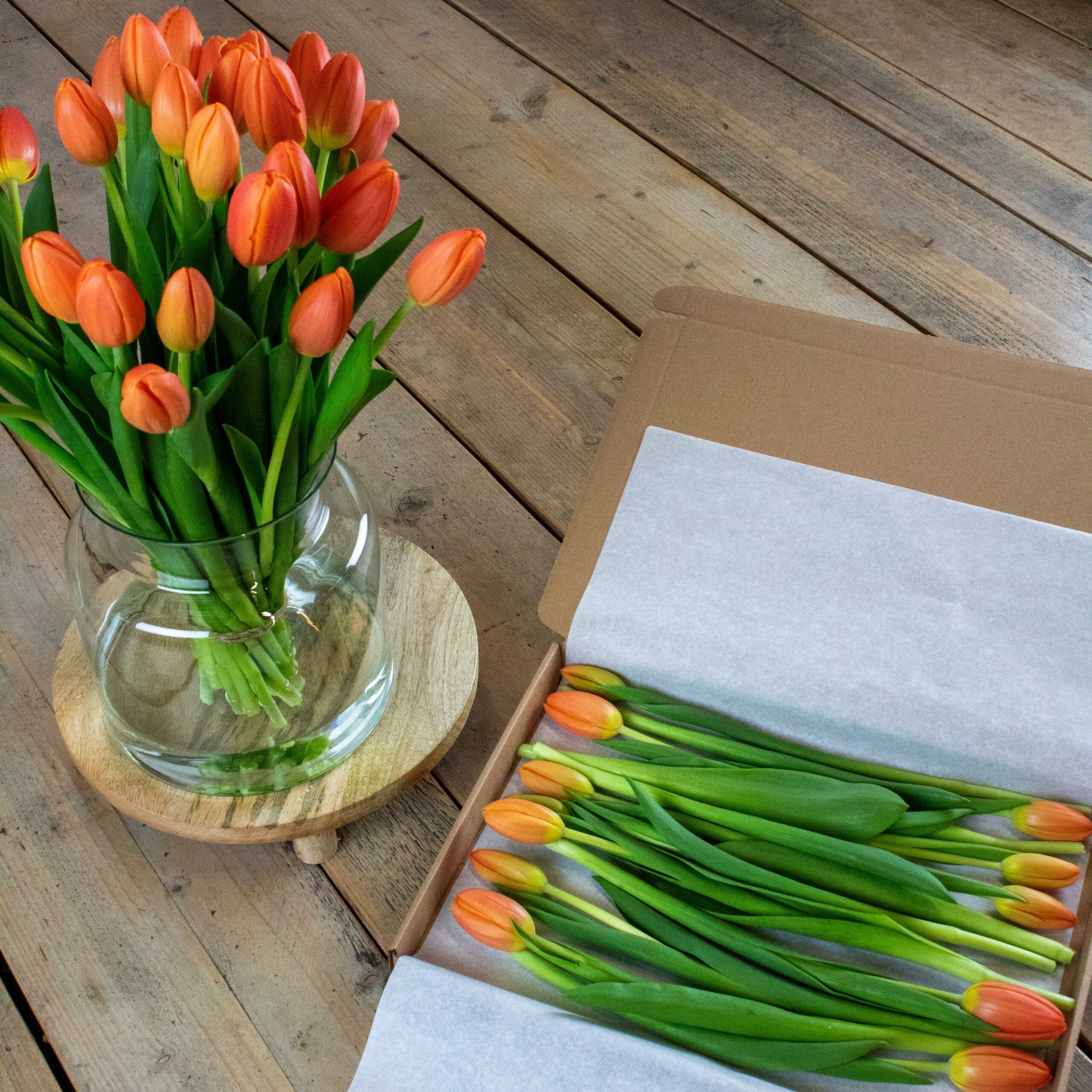 Oranje Brievenbus Tulpen 10 stuks - Afbeelding 2