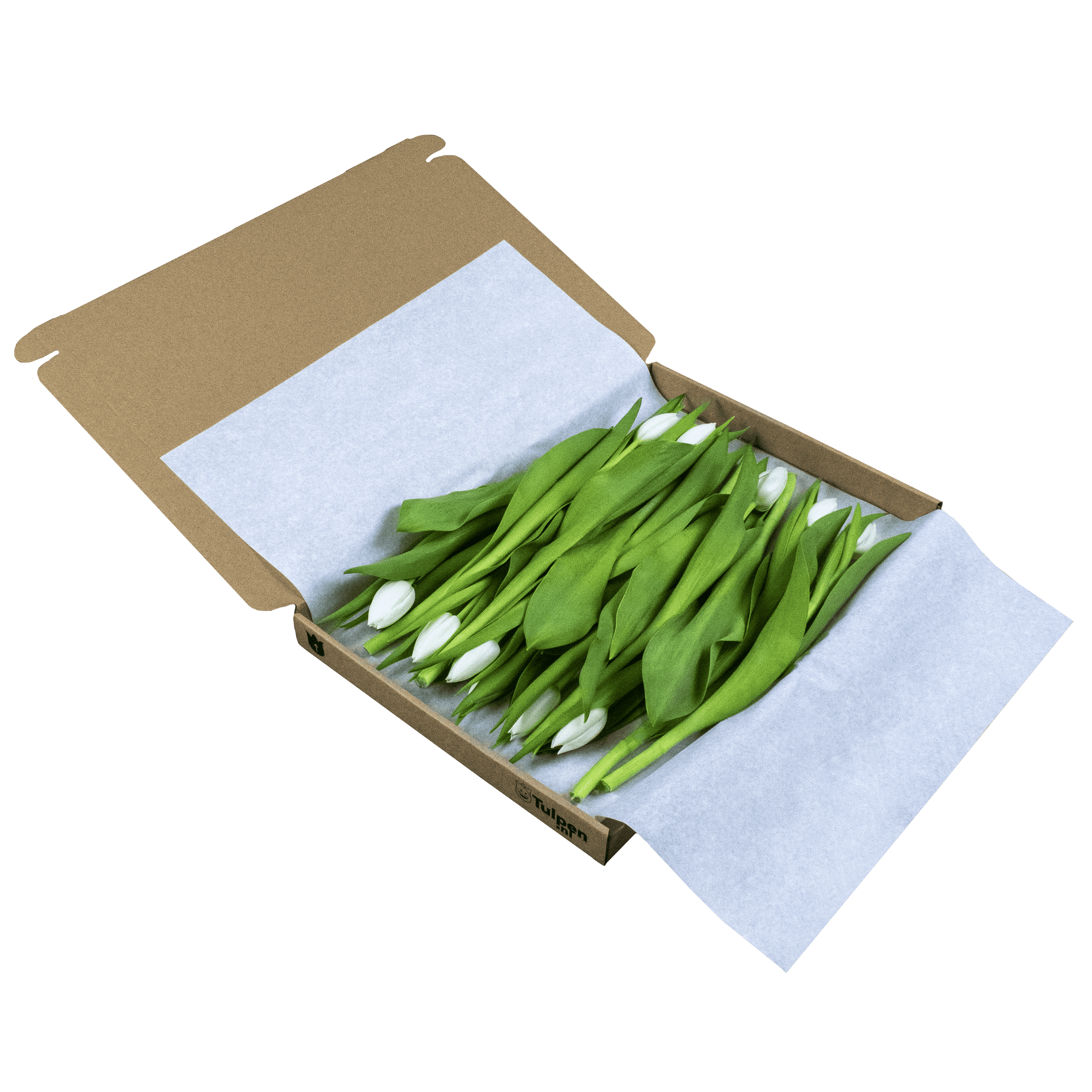 Witte Brievenbus Tulpen 10 stuks