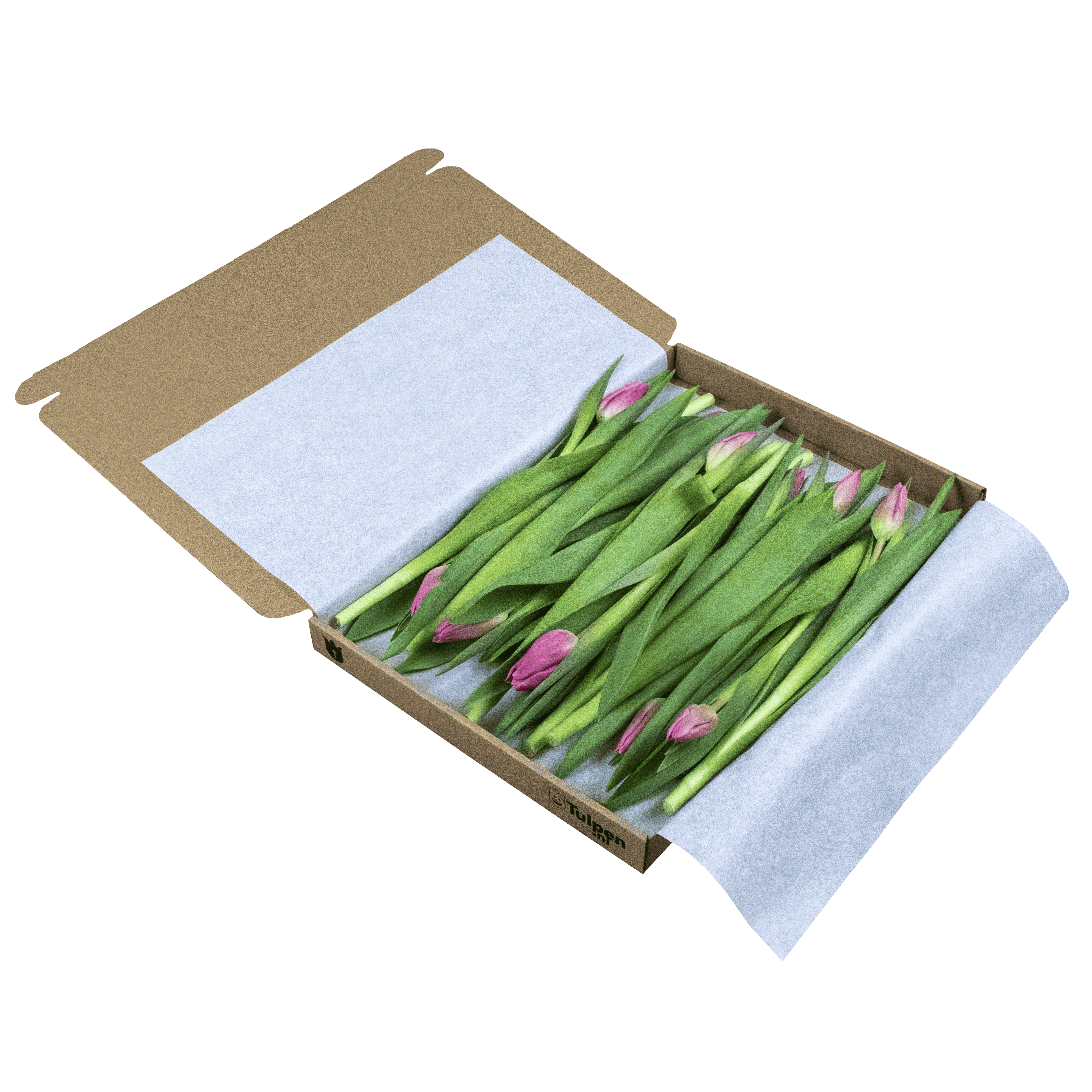 Roze Brievenbus Tulpen 10 stuks