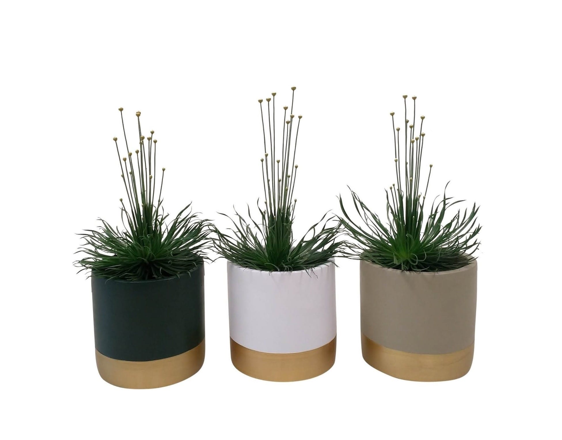 Syngonanthus chrysanthus 'Mikado' in Geneve keramiek ↑ 25 cm ⌀ 9 cm