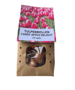 Bloembollen Candy Apple Delight 20 stuks