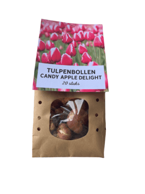 Tulpenbollen Candy Apple Delight (Tulipa 'Candy Apple Delight') – 20 stuks