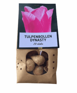 Bloembollen Dynasty 20 stuks