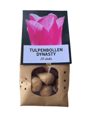 Tulpenbollen Dynasty mix (Tulipa 'Dynasty') – kleurrijke mix – 20 stuks