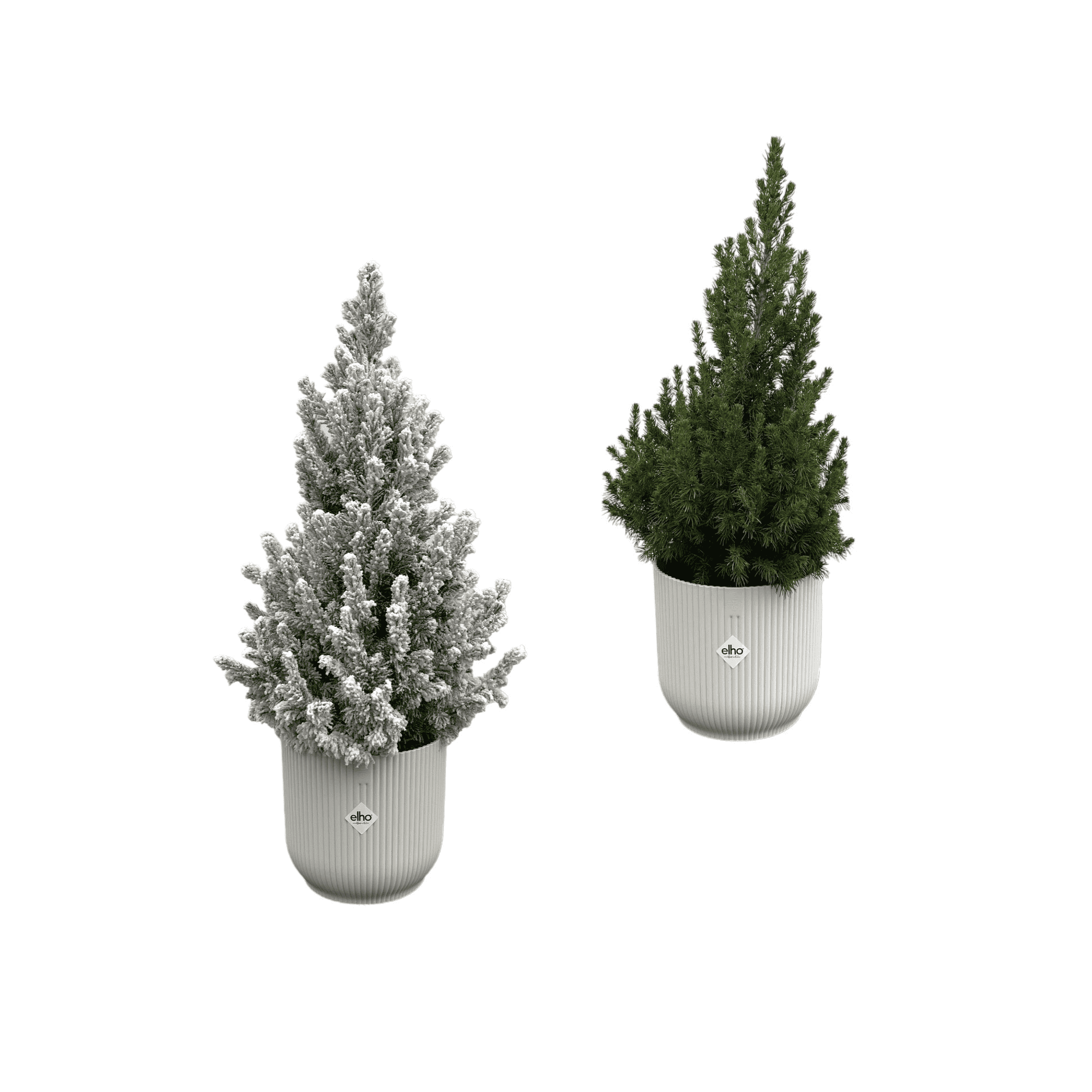 Kerstboom + Kerstboom Met Sneeuw ↑ 60 cm ⌀ 22 cm