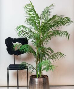 Kunstplant - Chamaedorea Elegans - Bergpalm 120cm - Afbeelding 6