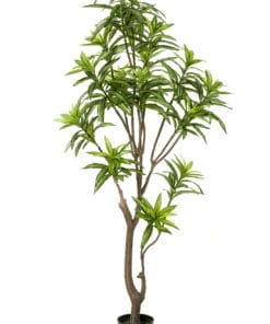 Kunstplant - Dracaena - Drakenboom 155cm
