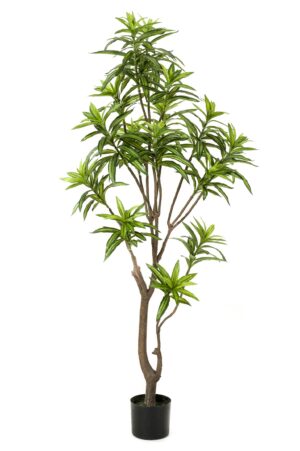 Kunstplant - Dracaena - Drakenboom 155cm