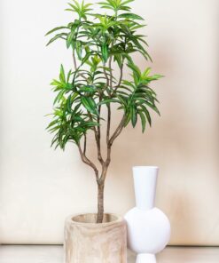 Kunstplant - Dracaena - Drakenboom 155cm - Afbeelding 6
