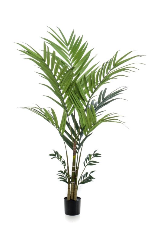 Kunstplant - Kentiapalm 180cm
