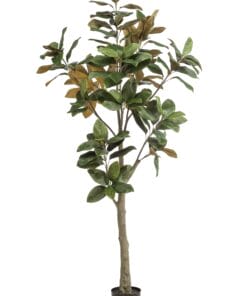 Kunstplant Magnolia 180cm