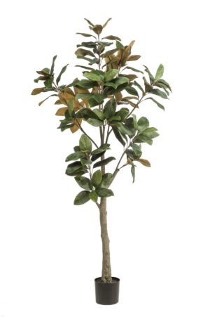 Kunstplant Magnolia 180cm
