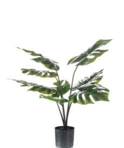 Monstera Deliciosa - Kunstplant 150cm