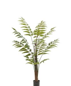 Kunstplant - Rumohra Adiantiformis - Ledervaren 180cm - Afbeelding 7