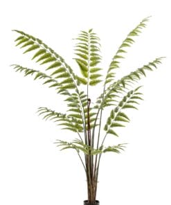 Kunstplant - Rumohra Adiantiformis - Ledervaren 180cm
