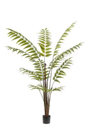 Kunstplant - Rumohra Adiantiformis - Ledervaren 180cm
