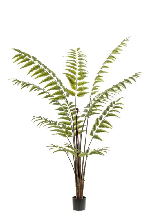 Kunstplant - Rumohra Adiantiformis - Ledervaren 180cm