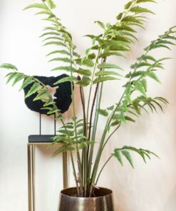 Kunstplant - Rumohra Adiantiformis - Ledervaren 180cm - Afbeelding 6