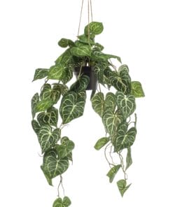 Kunstplant - Anthurium Clarinervium - Aderplant  80 Cm