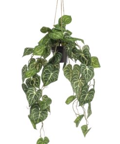 Kunstplant - Anthurium Clarinervium - Aderplant  80 Cm