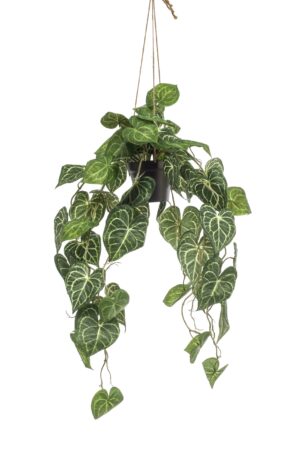 Kunstplant - Anthurium Clarinervium - Aderplant 80 Cm