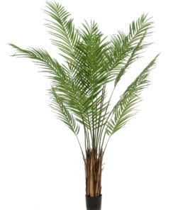 Kunstplant - Areca Lutescens - Goudpalm - 180 Cm