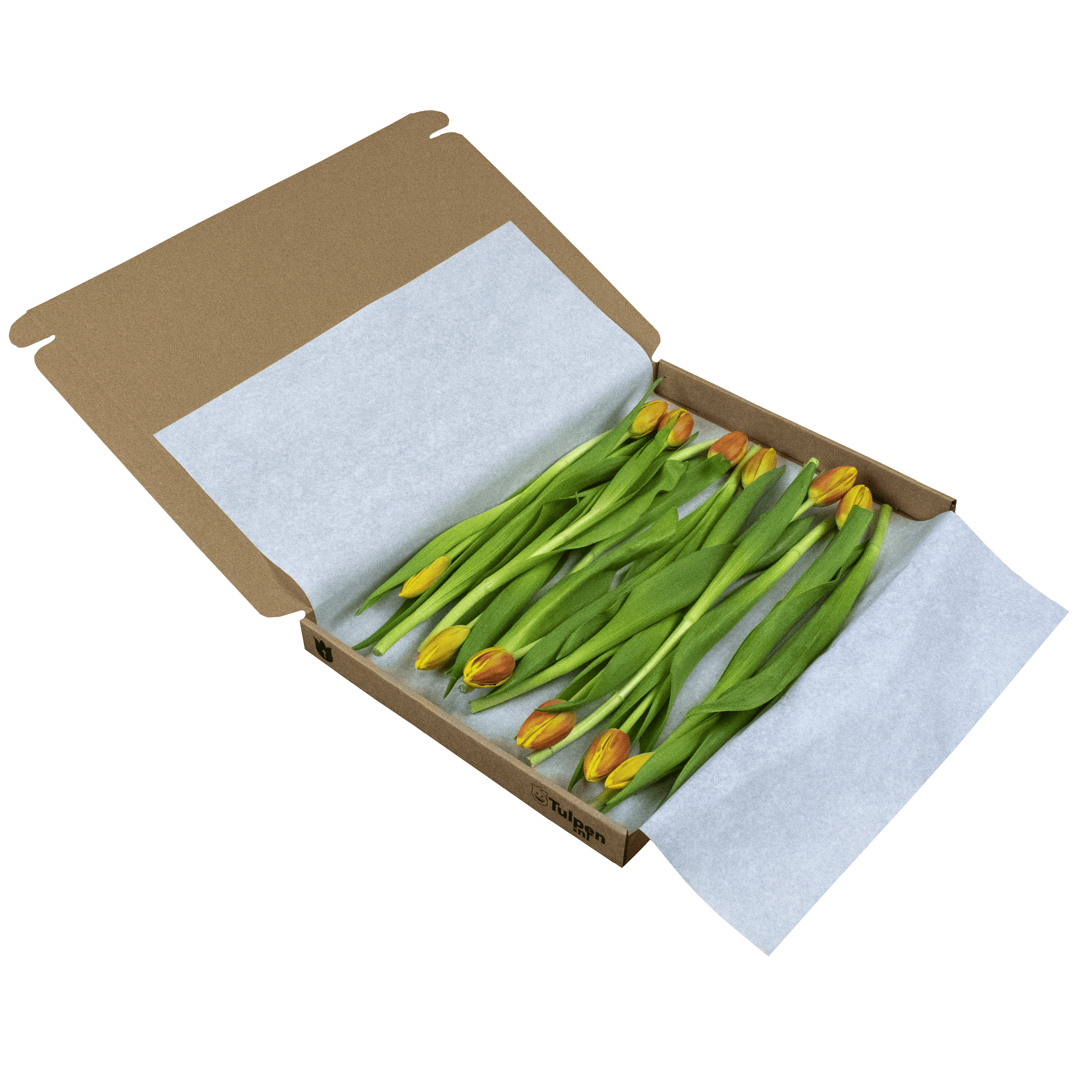 Multicolour (Warm) Brievenbus Tulpen 10 stuks