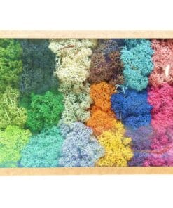 Rendiermos samplebox 15 kleuren