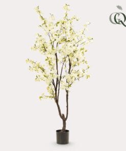 Prunus - Kersenbloesem - Wit - 210Cm