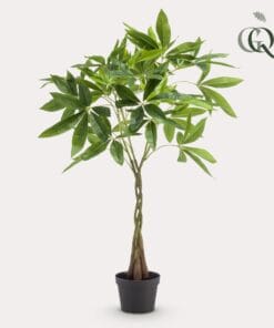 Kunstplant - Pachira Aquatica - Geldboom - 90Cm