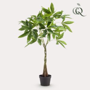 Kunstplant - Pachira Aquatica - Geldboom - 90Cm