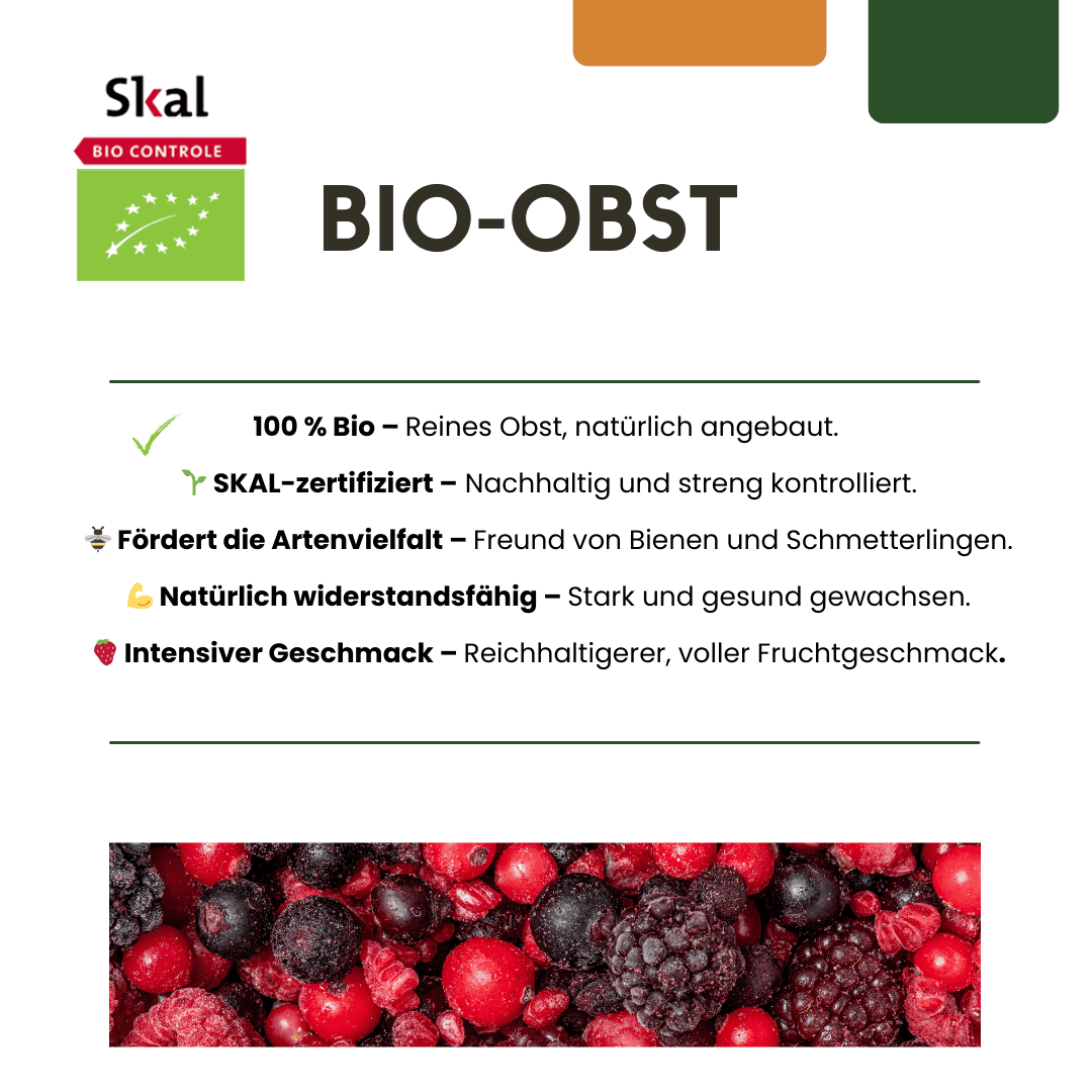 "Zoete Oogst Trio" Bio Fruitplanten Mix Set Van 3 Verschillende Soorten - Afbeelding 10