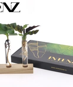 Brievenbuspakket Hydroponie - Ø7Cm - ↕10Cm