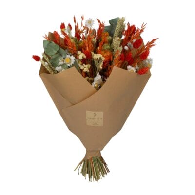 Droogbloemen - Classic Bouquet - Orange - ↕60Cm