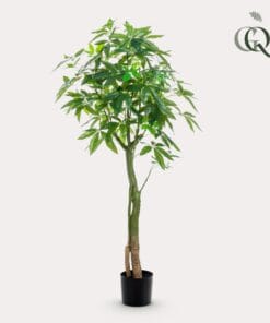 Kunstplant - Pachira Aquatica - Geldboom