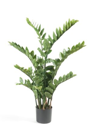 Kunstplant - Zamioculcas - Kamerpalm