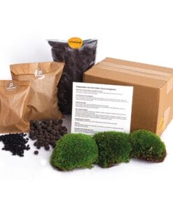 Planten Terrarium - Navulling - Startpakket - Diy - Maat L/Xl