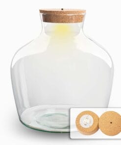 Terrarium Fles Met Kurk - Fat Joe + Led Kurk - Gesloten Terrarium ↑ 30 Cm
