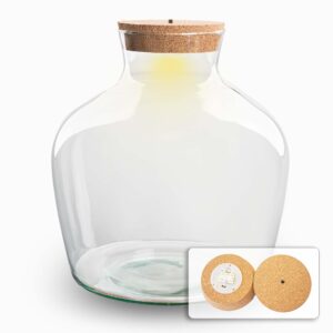 Terrarium Fles Met Kurk - Fat Joe + Led Kurk - Gesloten Terrarium ↑ 30 Cm