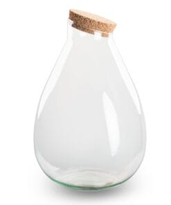 Terrarium Fles Met Kurk - Gesloten Terrarium - Drop Xl - ↑ 37 Cm