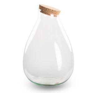Terrarium Fles Met Kurk - Gesloten Terrarium - Drop Xl - ↑ 37 Cm