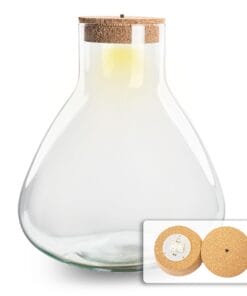 Terrarium Fles - Erlenmeyer Xl Met Verlichting In Kurk - 32 Cm Hoog