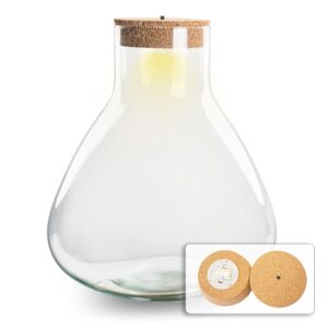 Terrarium Fles - Erlenmeyer Xl Met Verlichting In Kurk - 32 Cm Hoog