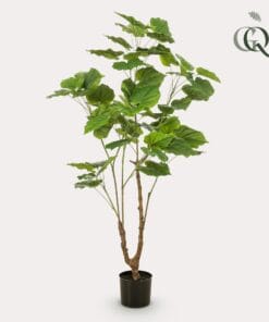 Kunstplant - Ficus Umbellate - Afrikaanse Vijg - 125Cm