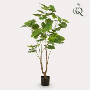 Kunstplant - Ficus Umbellate - Afrikaanse Vijg - 125Cm